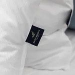 Baltini Premium Polanki Aqua Pool & Design Kołobrzeg